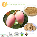 World-way high quality losing weight ingredient African mango seed extract with 10% flavones 10:1 20:1